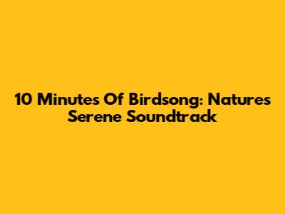10 Minutes Of Birdsong: Nature's Serene Soundtrack