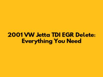 2001 VW Jetta TDI EGR Delete: Everything You Need