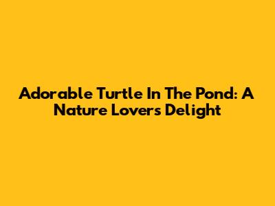 Adorable Turtle In The Pond: A Nature Lover's Delight