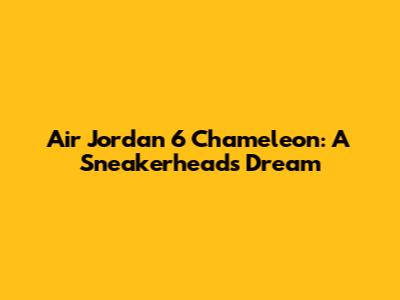 Air Jordan 6 Chameleon: A Sneakerhead's Dream
