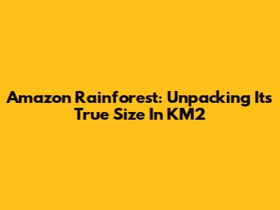 Amazon Rainforest: Unpacking Its True Size In KM2