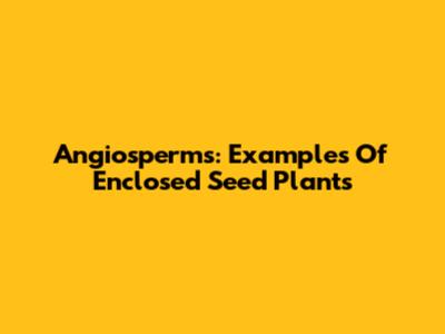 Angiosperms: Examples Of Enclosed Seed Plants
