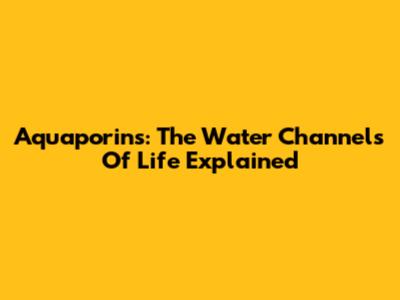 Aquaporins: The Water Channels Of Life Explained