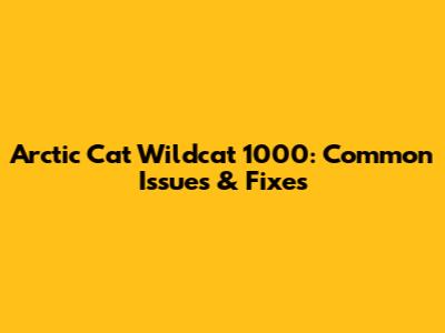 Arctic Cat Wildcat 1000: Common Issues & Fixes