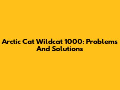 Arctic Cat Wildcat 1000: Problems And Solutions