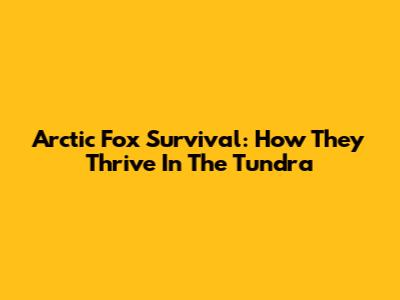 Arctic Fox Survival: How They Thrive In The Tundra