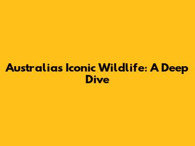 Australia's Iconic Wildlife: A Deep Dive