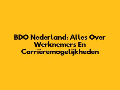 BDO Nederland: Alles Over Werknemers En Carrièremogelijkheden