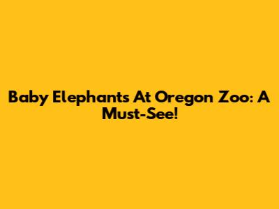 Baby Elephants At Oregon Zoo: A Must-See!