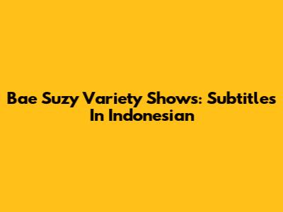 Bae Suzy Variety Shows: Subtitles In Indonesian