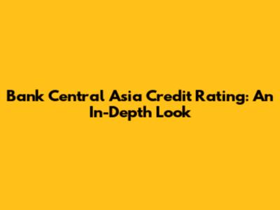 Bank Central Asia Credit Rating: An In-Depth Look