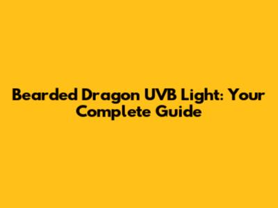 Bearded Dragon UVB Light: Your Complete Guide