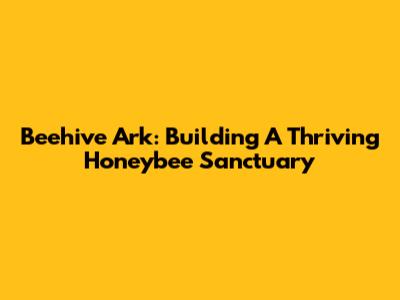 Beehive Ark: Building A Thriving Honeybee Sanctuary