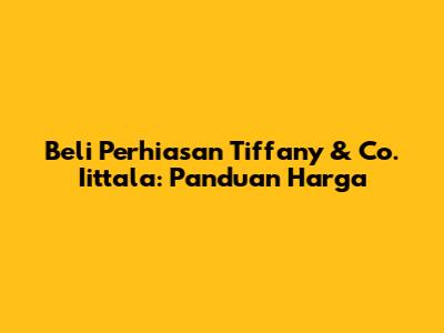 Beli Perhiasan Tiffany & Co. Iittala: Panduan Harga