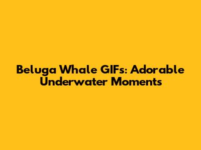 Beluga Whale GIFs: Adorable Underwater Moments