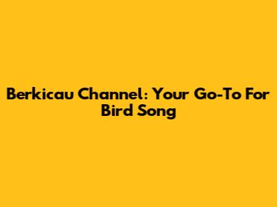 Berkicau Channel: Your Go-To For Bird Song