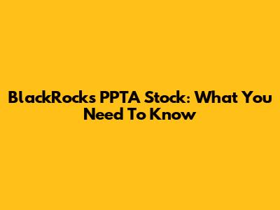 BlackRock's PPTA Stock: What You Need To Know