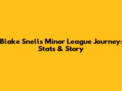 Blake Snell's Minor League Journey: Stats & Story