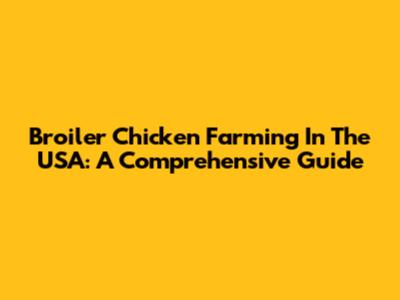 Broiler Chicken Farming In The USA: A Comprehensive Guide
