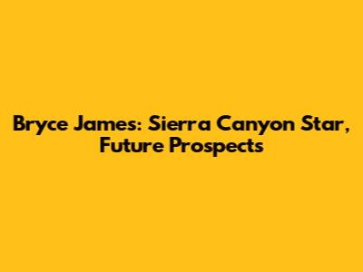 Bryce James: Sierra Canyon Star, Future Prospects