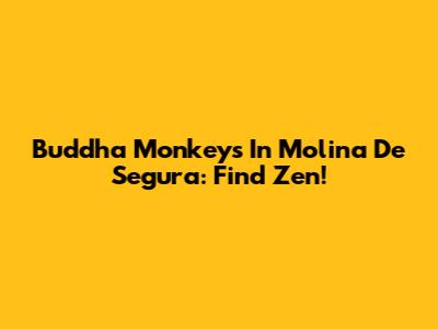 Buddha Monkeys In Molina De Segura: Find Zen!