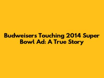 Budweiser's Touching 2014 Super Bowl Ad: A True Story