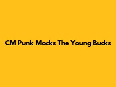 CM Punk Mocks The Young Bucks