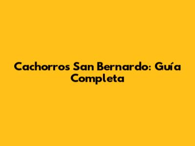 Cachorros San Bernardo: Guía Completa