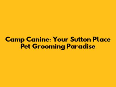 Camp Canine: Your Sutton Place Pet Grooming Paradise