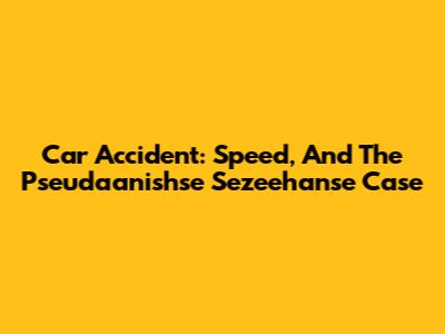 Car Accident: Speed, And The Pseudaanishse Sezeehanse Case