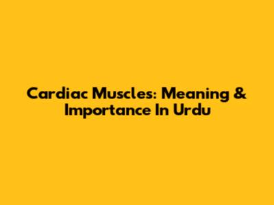 Cardiac Muscles: Meaning & Importance In Urdu