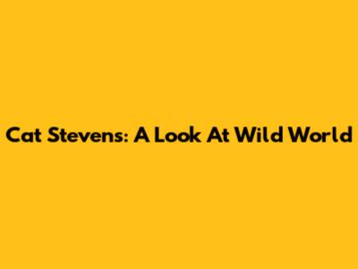 Cat Stevens: A Look At "Wild World"
