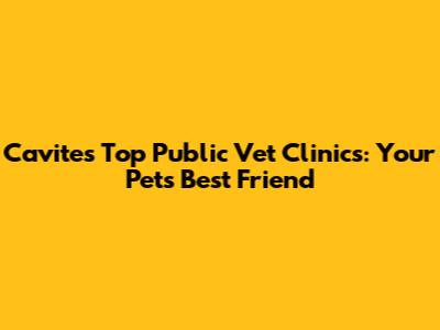 Cavite's Top Public Vet Clinics: Your Pet's Best Friend