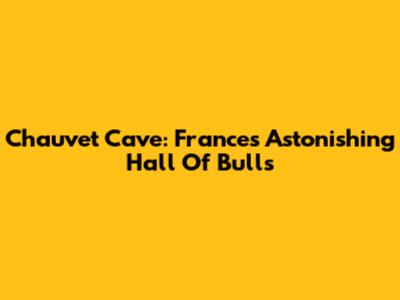 Chauvet Cave: France's Astonishing Hall Of Bulls