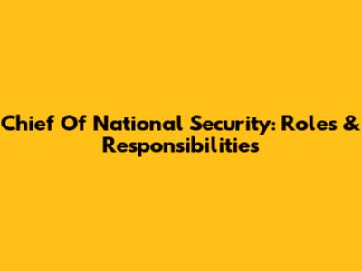 Chief Of National Security: Roles & Responsibilities