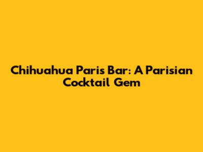 Chihuahua Paris Bar: A Parisian Cocktail Gem