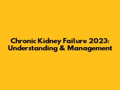 Chronic Kidney Failure 2023: Understanding & Management