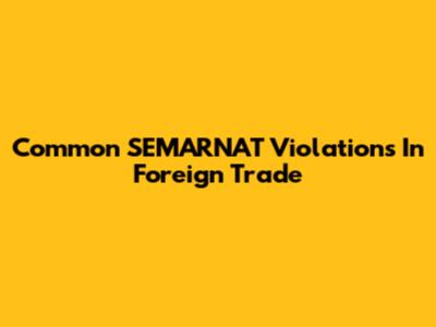 Common SEMARNAT Violations In Foreign Trade