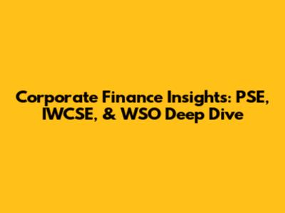 Corporate Finance Insights: PSE, IWCSE, & WSO Deep Dive