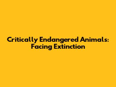 Critically Endangered Animals: Facing Extinction