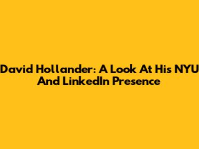 David Hollander: A Look At His NYU And LinkedIn Presence