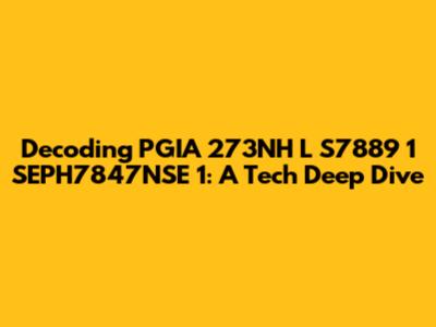 Decoding PGIA 273NH L S7889 1 SEPH7847NSE 1: A Tech Deep Dive