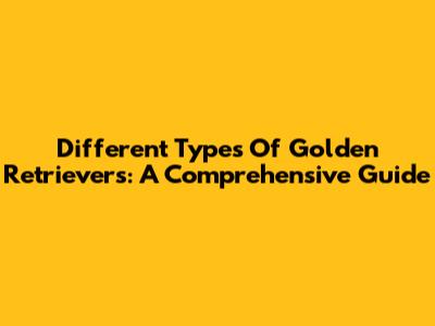Different Types Of Golden Retrievers: A Comprehensive Guide