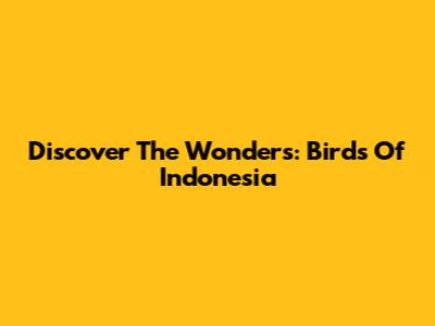Discover The Wonders: Birds Of Indonesia