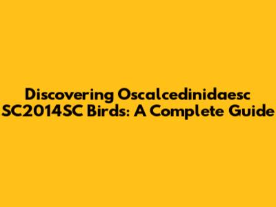 Discovering Oscalcedinidaesc SC2014SC Birds: A Complete Guide