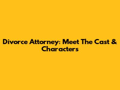 Divorce Attorney: Meet The Cast & Characters