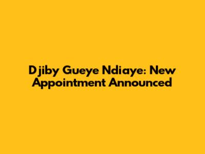 Djiby Gueye Ndiaye: New Appointment Announced