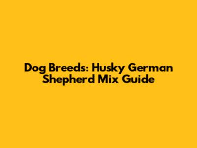Dog Breeds: Husky German Shepherd Mix Guide