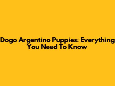 Dogo Argentino Puppies: Everything You Need To Know