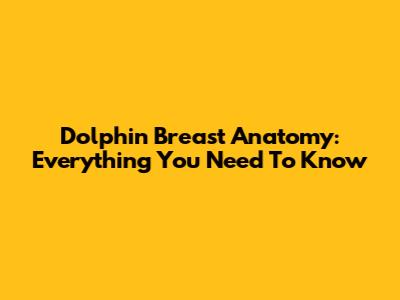 Dolphin Breast Anatomy: Everything You Need To Know
